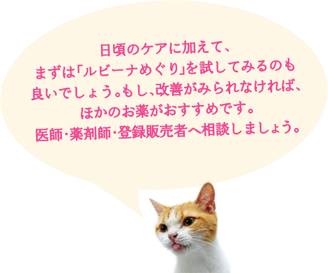 冷え症で疲れやすい方のむくみ 生理痛 頭重に タケダの漢方薬ルビーナめぐり