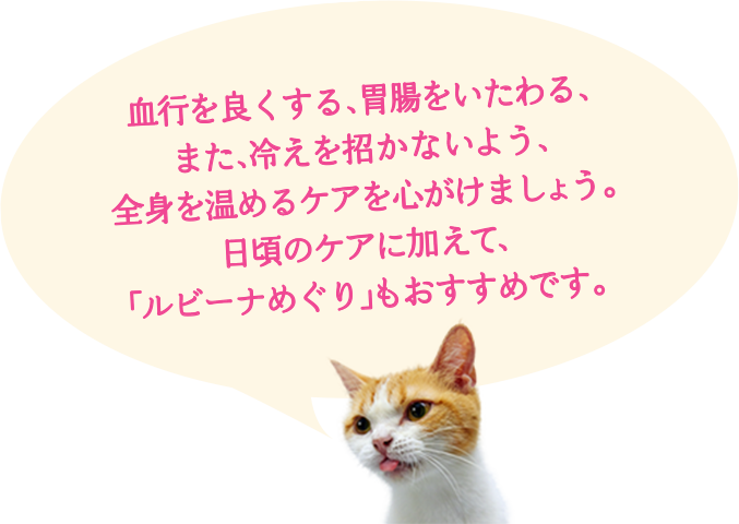 冷え症で疲れやすい方のむくみ 生理痛 頭重に ルビーナめぐり